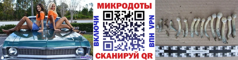 Галлюциногенные грибы мицелий  Купить где  Спас-Клепики 